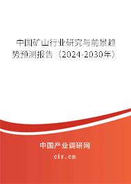 中國(guó)礦山行業(yè)研究與前景趨勢(shì)預(yù)測(cè)報(bào)告（2024-2030年）