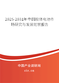 2025-2031年中國(guó)膠體電池市場(chǎng)研究與發(fā)展前景報(bào)告