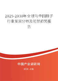 2025-2030年全球與中國鞋子行業發展分析及前景趨勢報告