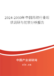 2024-2030年中國吊磅行業現狀調研與前景分析報告