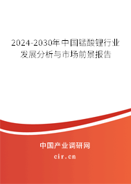 2024-2030年中國錳酸鋰行業發展分析與市場前景報告