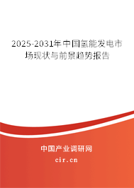 2025-2031年中國氫能發(fā)電市場現(xiàn)狀與前景趨勢報(bào)告