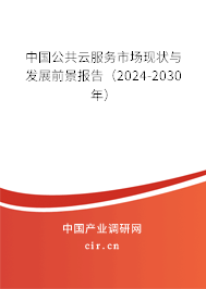 中國(guó)公共云服務(wù)市場(chǎng)現(xiàn)狀與發(fā)展前景報(bào)告（2024-2030年）