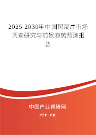 2025-2030年中國風濕片市場調(diào)查研究與前景趨勢預測報告