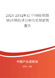 2025-2031年遼寧純堿(碳酸鈉)市場現狀分析與前景趨勢報告