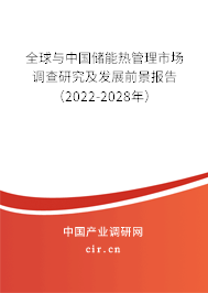 全球與中國儲能熱管理市場調查研究及發展前景報告（2022-2028年）