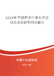 2024年中國尼龍行業(yè)現(xiàn)狀調(diào)研及發(fā)展趨勢預(yù)測報告