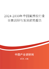 2024-2030年中國(guó)氟橡膠行業(yè)全面調(diào)研與發(fā)展趨勢(shì)報(bào)告