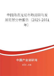 中國(guó)海底光纜市場(chǎng)調(diào)研與發(fā)展前景分析報(bào)告（2025-2031年）