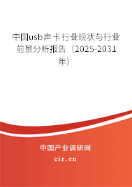 中國(guó)usb聲卡行業(yè)現(xiàn)狀與行業(yè)前景分析報(bào)告（2025-2031年）