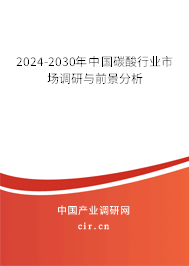 2024-2030年中國碳酸行業市場調研與前景分析