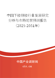 中國下肢假肢行業發展研究分析與市場前景預測報告（2025-2031年）