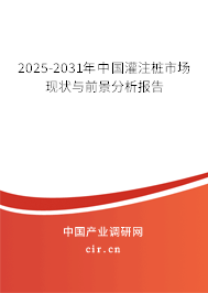 2024-2030年中國灌注樁市場現狀與前景分析報告