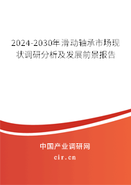 2024-2030年滑動軸承市場現(xiàn)狀調(diào)研分析及發(fā)展前景報告