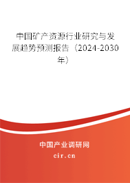 中國礦產資源行業研究與發展趨勢預測報告（2024-2030年）