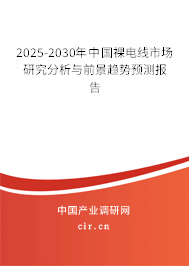 2025-2030年中國裸電線市場研究分析與前景趨勢預測報告