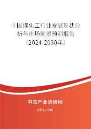 中國煤化工行業(yè)發(fā)展現(xiàn)狀分析與市場前景預(yù)測報(bào)告（2024-2030年）