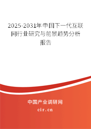 2025-2030年中國下一代互聯網行業研究與前景趨勢分析報告