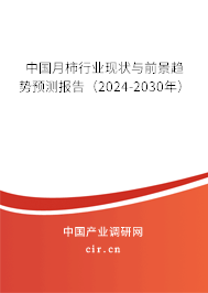 中國月柿行業(yè)現(xiàn)狀與前景趨勢預測報告（2024-2030年）