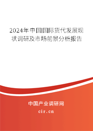 2024年中國(guó)國(guó)際貨代發(fā)展現(xiàn)狀調(diào)研及市場(chǎng)前景分析報(bào)告