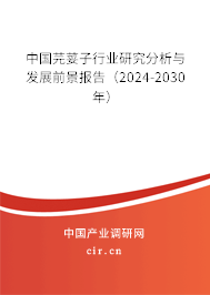 中國芫荽子行業研究分析與發展前景報告（2024-2030年）