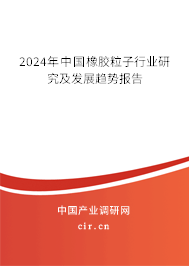 2024年中國橡膠粒子行業(yè)研究及發(fā)展趨勢報告