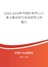 2024-2030年中國呼叫中心行業全面調研與發展趨勢分析報告