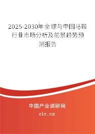 2025-2030年全球與中國馬鞍行業市場分析及前景趨勢預測報告