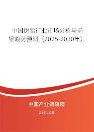 中國樹脂行業市場分析與前景趨勢預測（2025-2030年）