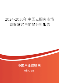 2024-2030年中國云服務市場調查研究與前景分析報告