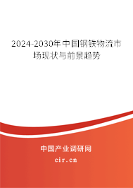 2024-2030年中國鋼鐵物流市場(chǎng)現(xiàn)狀與前景趨勢(shì)