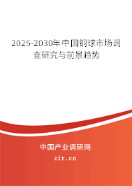 2025-2030年中國(guó)銅球市場(chǎng)調(diào)查研究與前景趨勢(shì)