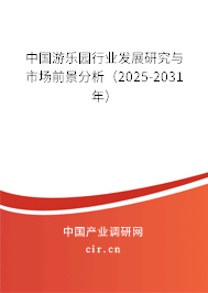 中國游樂園行業(yè)發(fā)展研究與市場前景分析（2024-2030年）