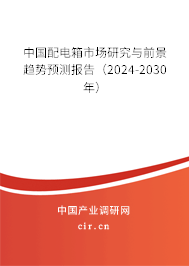 中國(guó)配電箱市場(chǎng)研究與前景趨勢(shì)預(yù)測(cè)報(bào)告（2024-2030年）