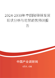 2024-2030年中國破碎錘發展現狀分析與前景趨勢預測報告