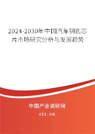 2024-2030年中國汽車鑰匙芯片市場研究分析與發展趨勢