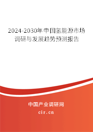 2024-2030年中國氫能源市場調(diào)研與發(fā)展趨勢預測報告