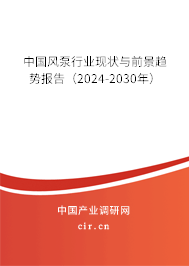 中國風泵行業現狀與前景趨勢報告（2024-2030年）