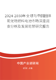 2024-2030年全球與中國固體氧化物燃料電池市場深度調查分析及發展前景研究報告