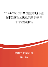 2024-2030年中國城市地下管線探測行業發展深度調研與未來趨勢報告