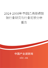 2024-2030年中國乙烯基磺酸鈉行業(yè)研究與行業(yè)前景分析報告