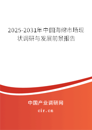 2024-2030年中國海綿發展現狀分析與市場前景預測報告