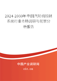 2024-2030年中國汽輪機控制系統行業市場調研與前景分析報告