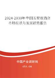 2024-2030年中國五星級酒店市場現狀與發展趨勢報告