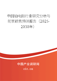 中國鉑電阻行業(yè)研究分析與前景趨勢(shì)預(yù)測(cè)報(bào)告（2025-2030年）