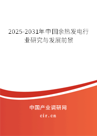 2024-2030年中國余熱發(fā)電行業(yè)研究與發(fā)展前景