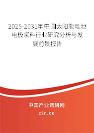 2025-2031年中國太陽能電池電極漿料行業研究分析與發展前景報告