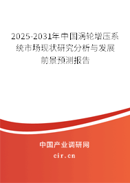 2024-2030年中國渦輪增壓系統市場現狀研究分析與發展前景預測報告