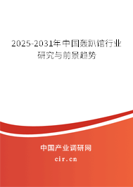 2025-2031年中國轟趴館行業研究與前景趨勢