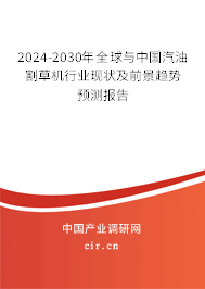 2024-2030年全球與中國汽油割草機行業現狀及前景趨勢預測報告